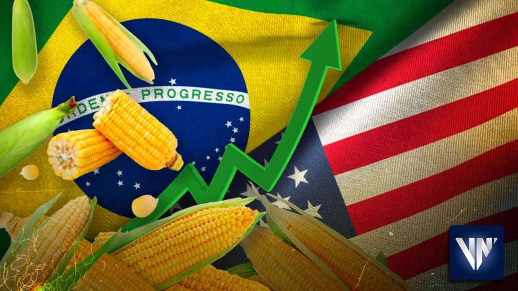 Brasil se convierte en mayor exportador de maíz del mundo