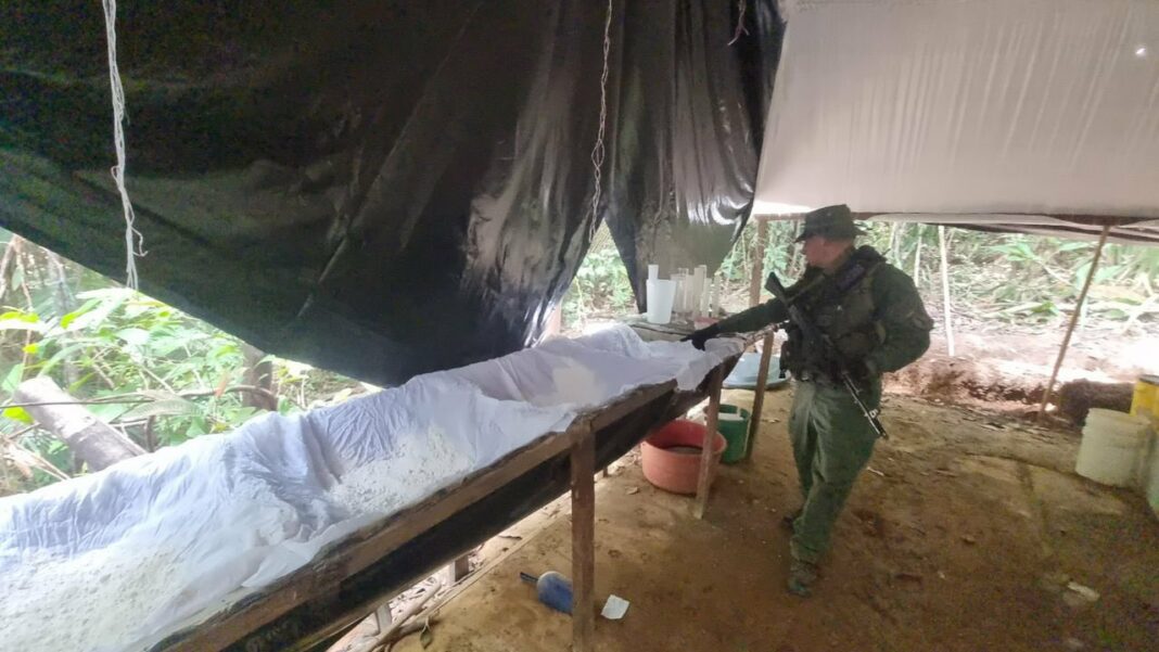 CEOFANB destruyó campamentos Colombia