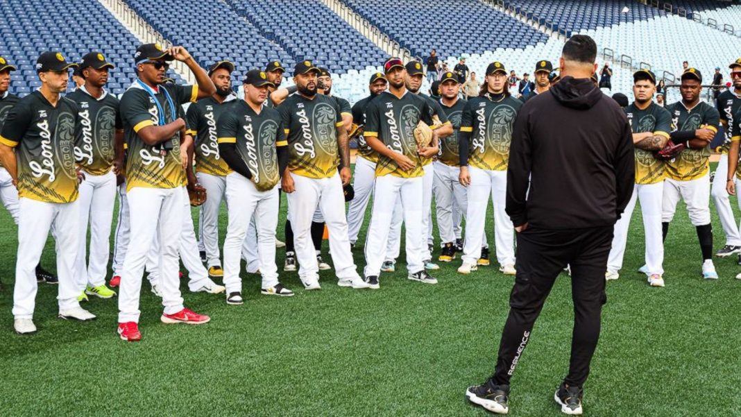 Leones del Caracas entrenamiento monumental