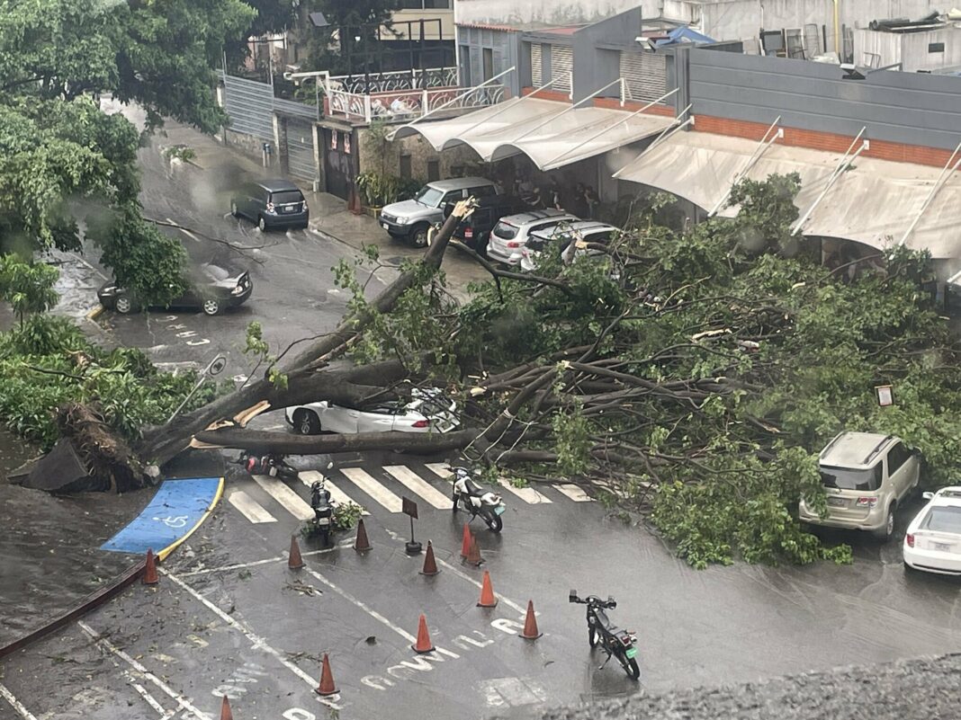 Fuerte tormenta árboles caídos Chacao caracas