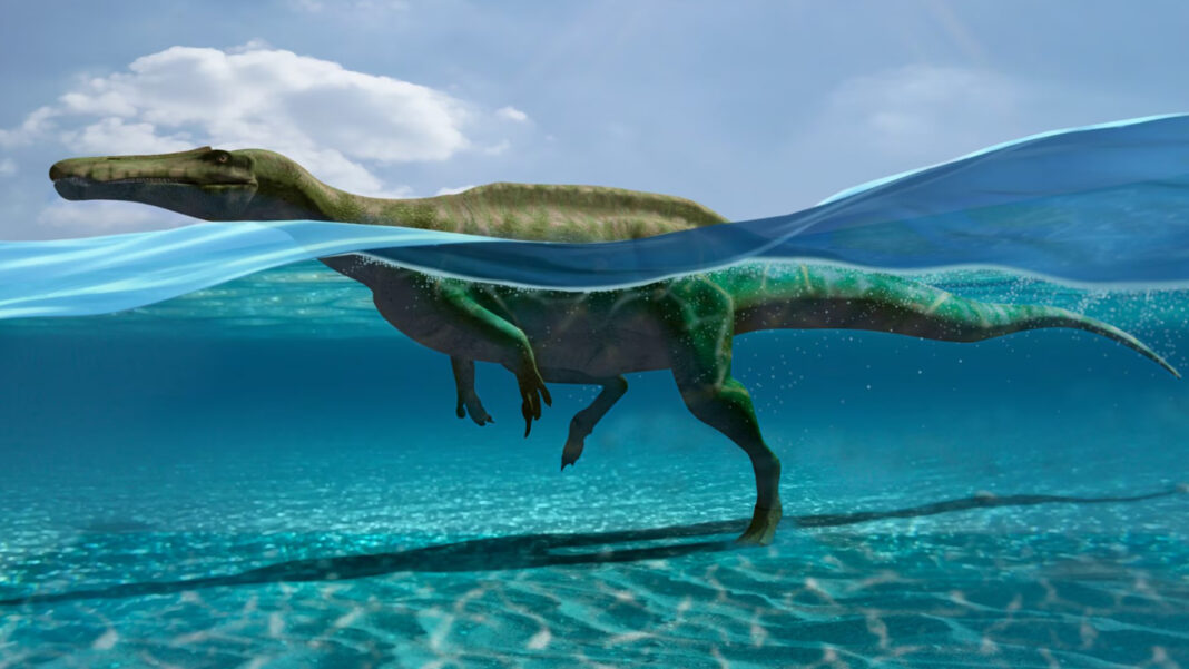 27 huellas dinosaurios nadadores Laguna Cameros