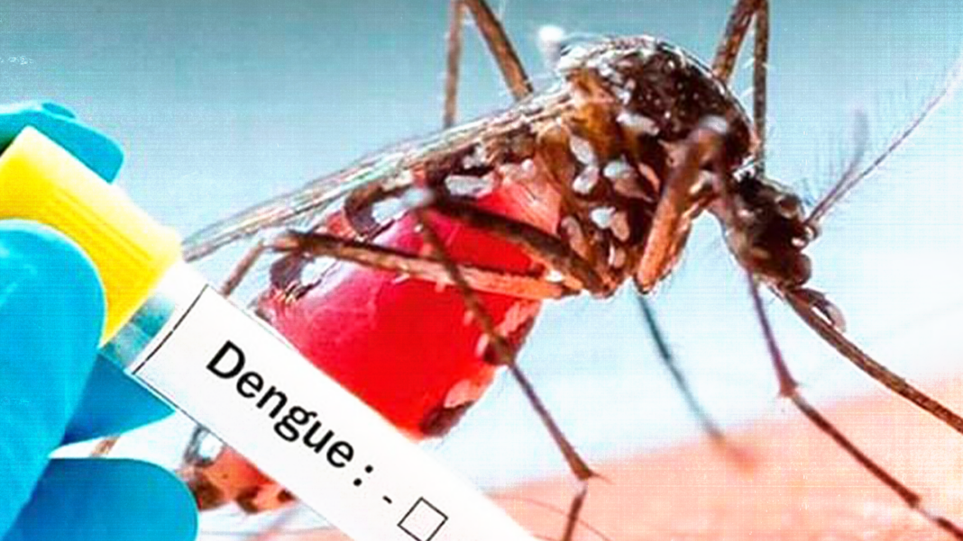 OMS dengue 4 millones casos América