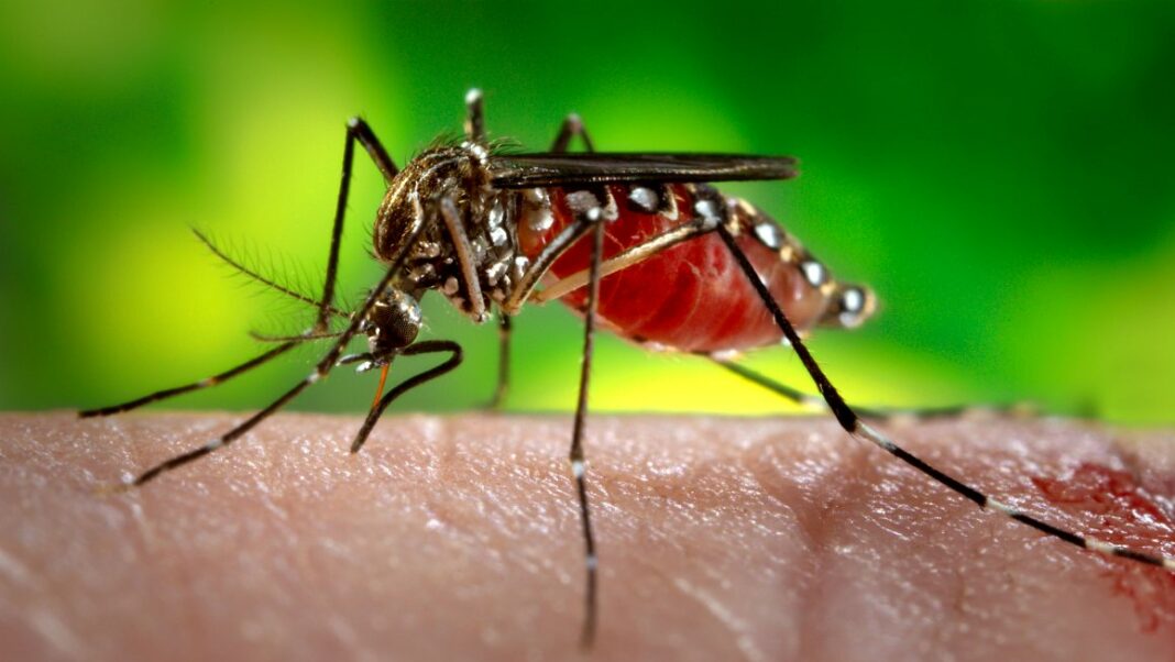 Perú emergencia sanitaria dengue