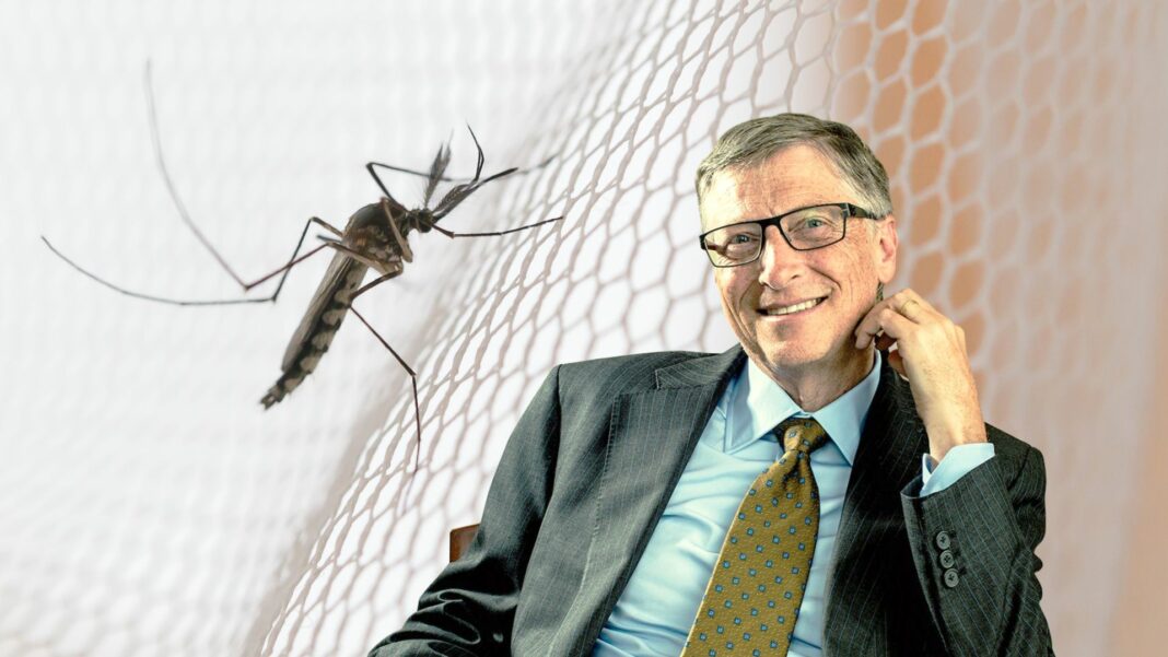bill gates mosquitos dengue
