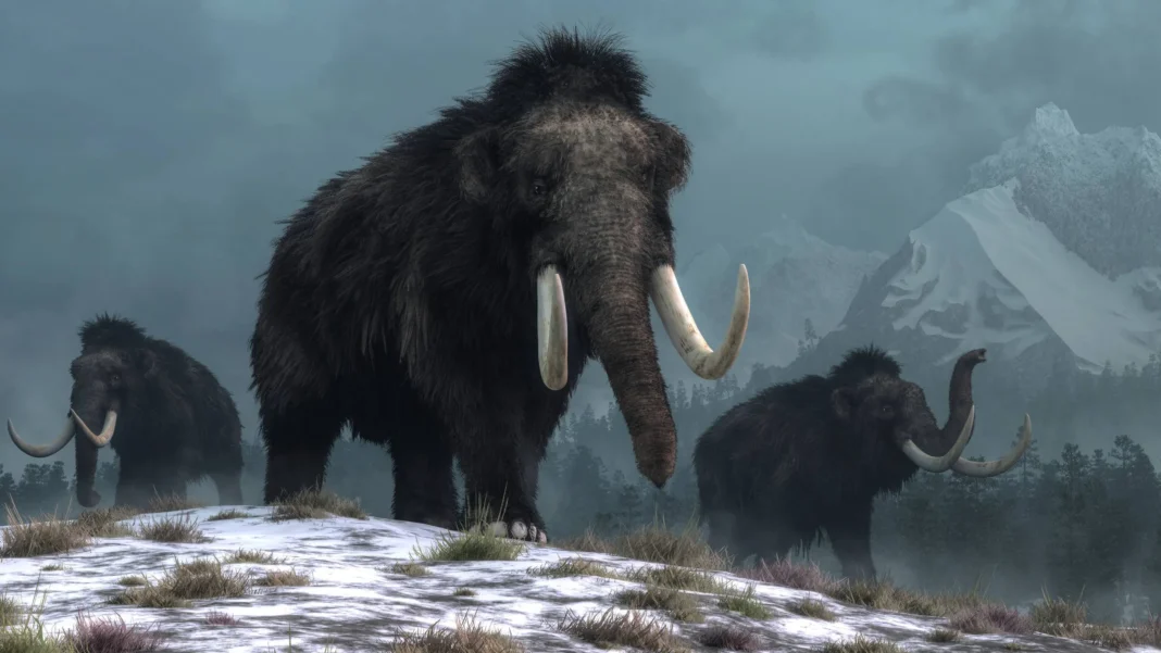 científicos colossal mamut lanudo