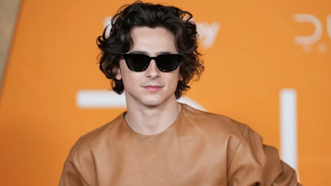 Timothée Chalamet Bob Dylan