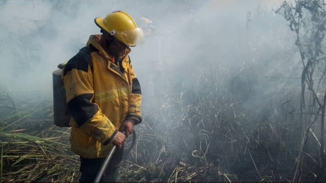 bomberos incendio forestal Canaima