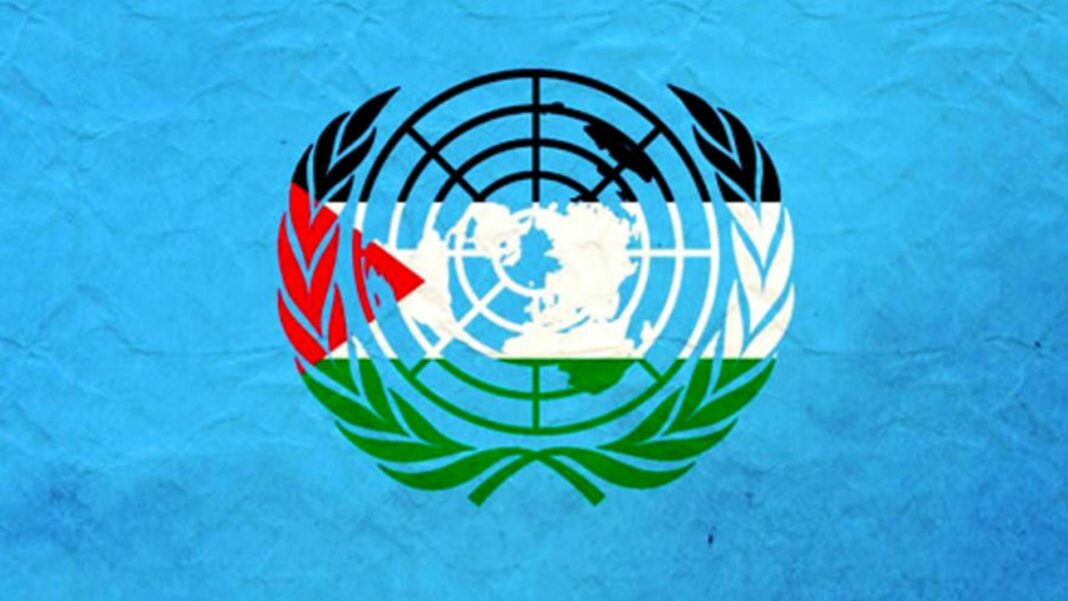 ONU Palestina membresía consejo de seguridad