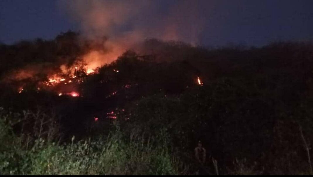 incendios forestales Caracas Miranda