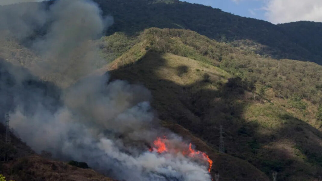 Incendios forestales Venezuela