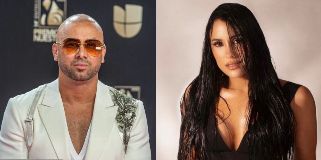 wisin maría laura remix