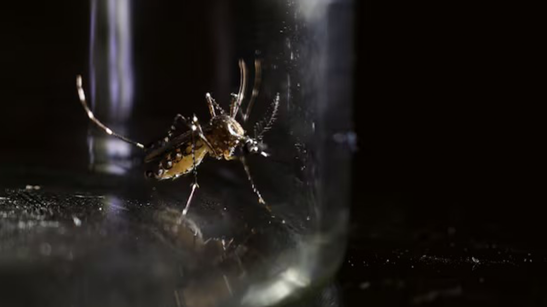 Honduras alerta máxima dengue