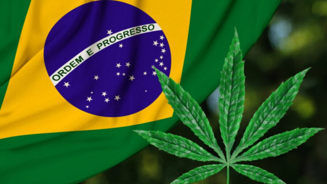 Brasil despenalización marihuana