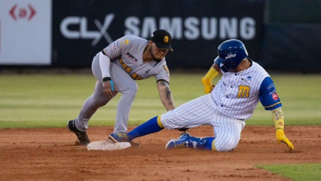 Leones Magallanes Miami