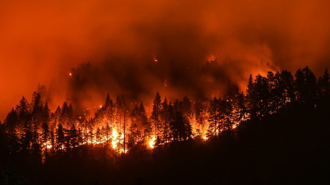 California estado de emergencia por incendios forestales