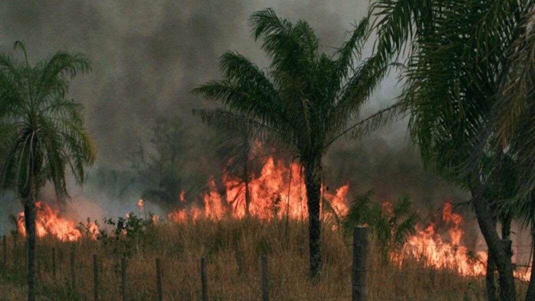 Bolivia procesos penales incendios forestales