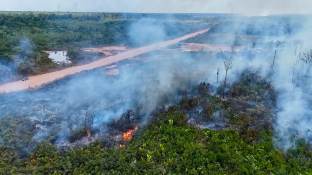 Brasil incendios forestales