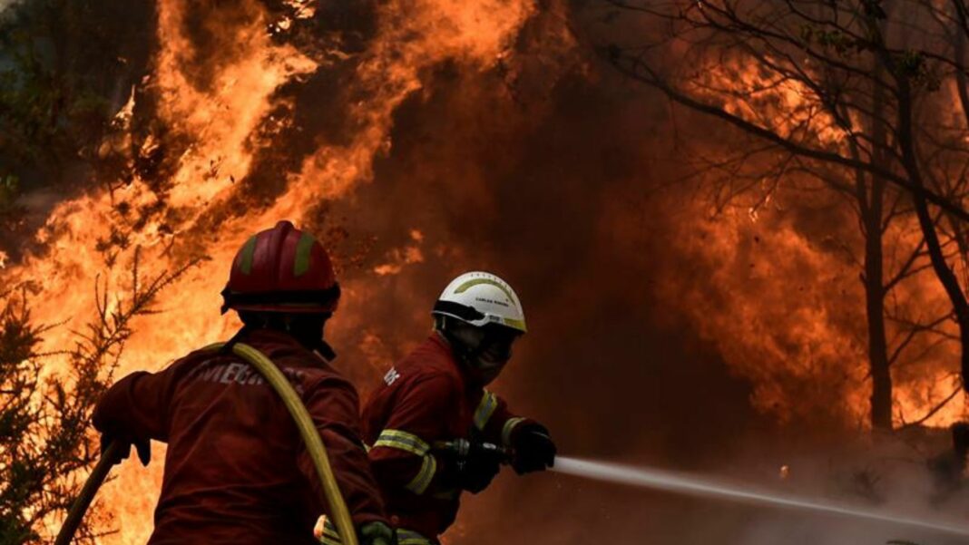 Madeira incendio