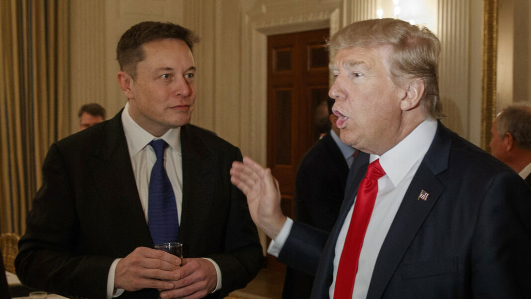 Donald Trump Elon Musk