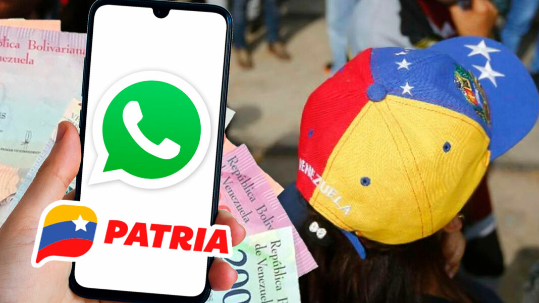 plataforma Patria WhatsApp