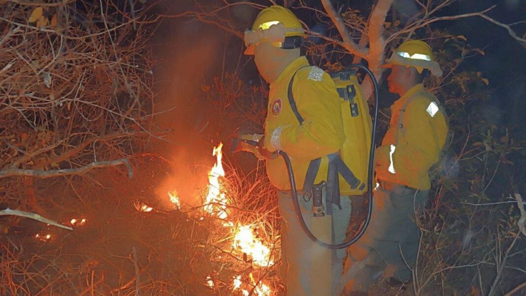 Bolivia incendio forestal