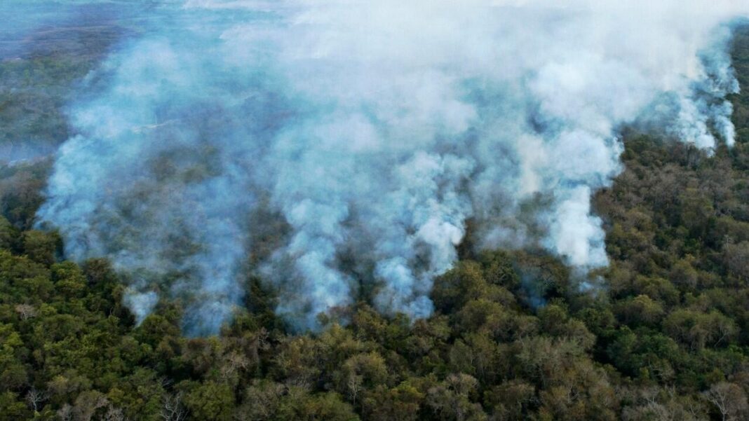 Incendios forestales en Brasil causan daños por más de $2.700 millones