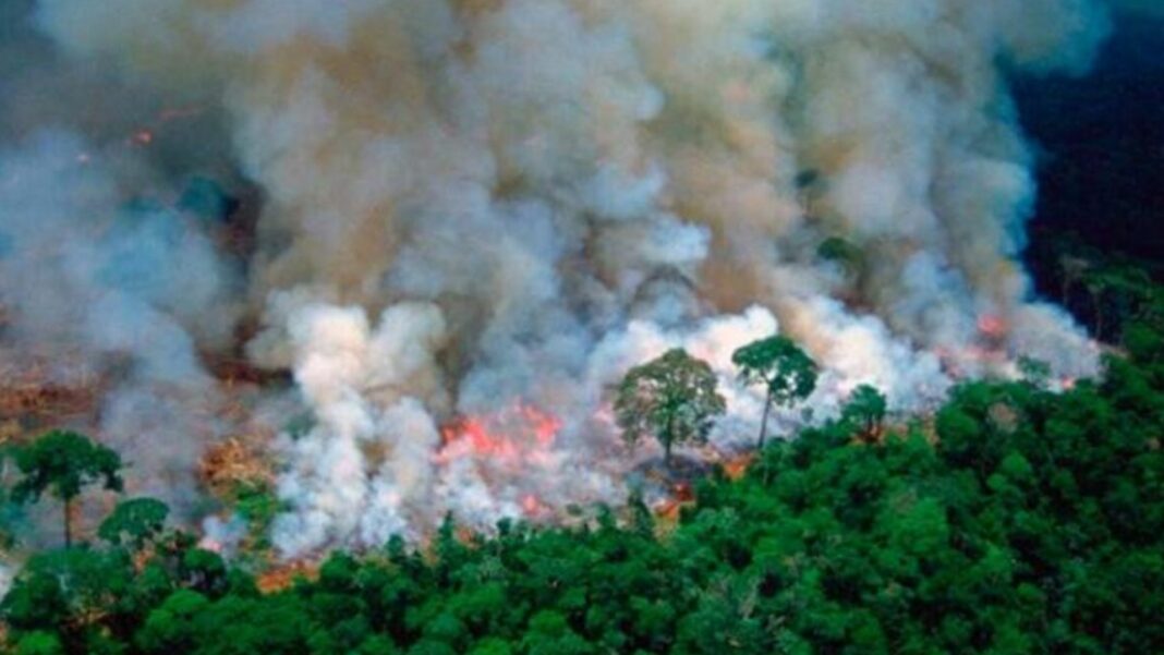 incendio Amazonía Perú