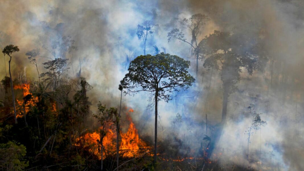 Perú Amazonía incendios