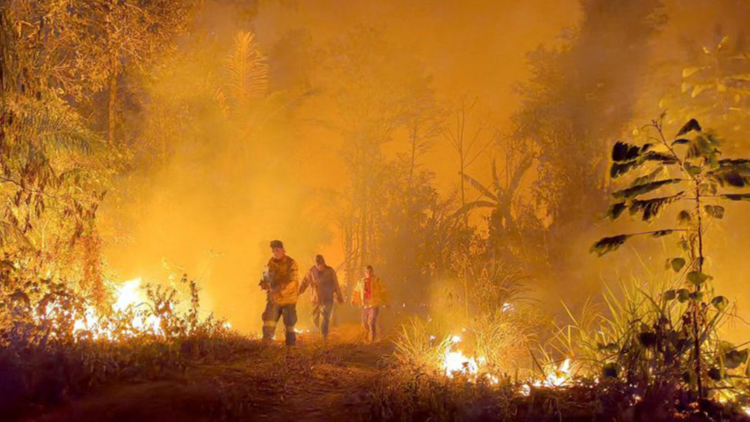 Bolivia desastre nacional incendios forestales