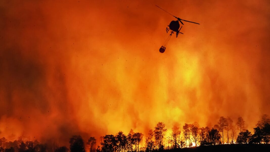 Incendios forestales emergencia ambiental Sudamérica