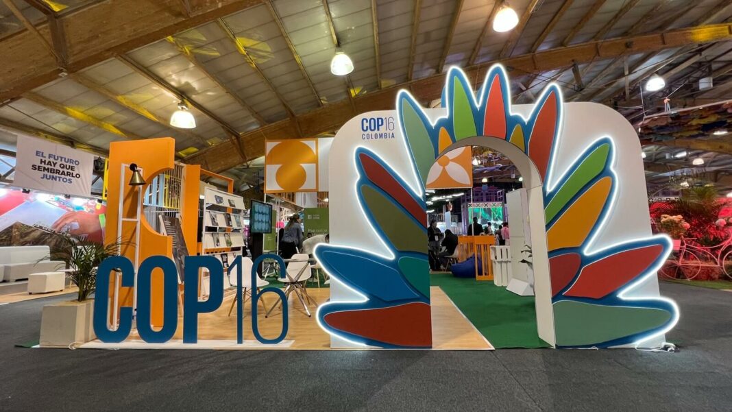 Colombia COP16