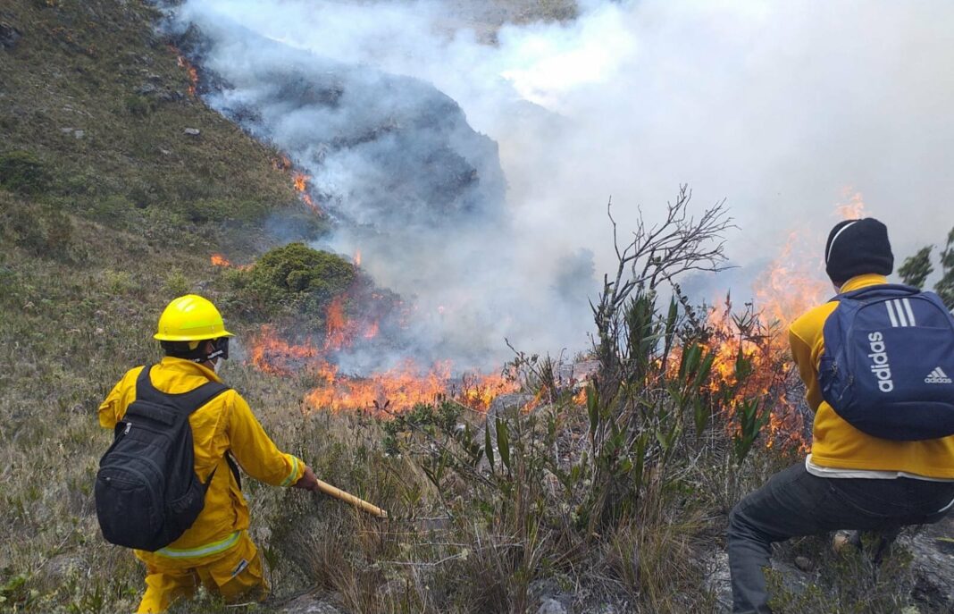 El 90% de incendios en Amazonía peruana fueron provocados 