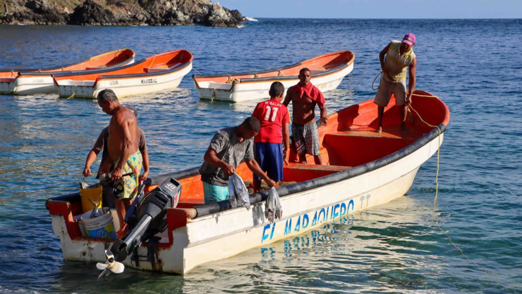 Pescadores La Guaira