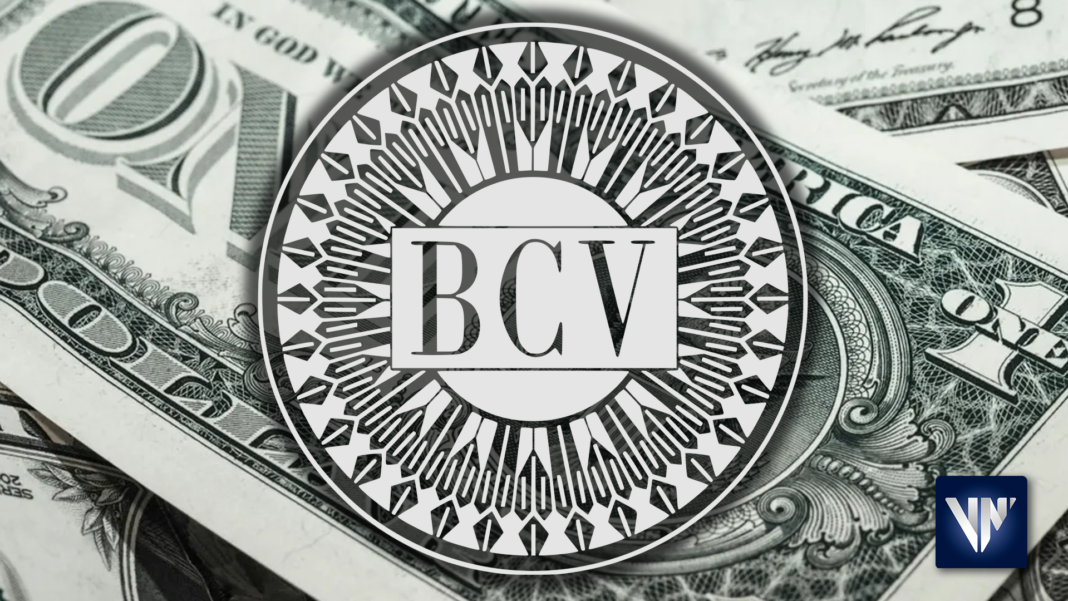 Precio del dólar BCV cerró con ligero aumento este 12 de noviembre