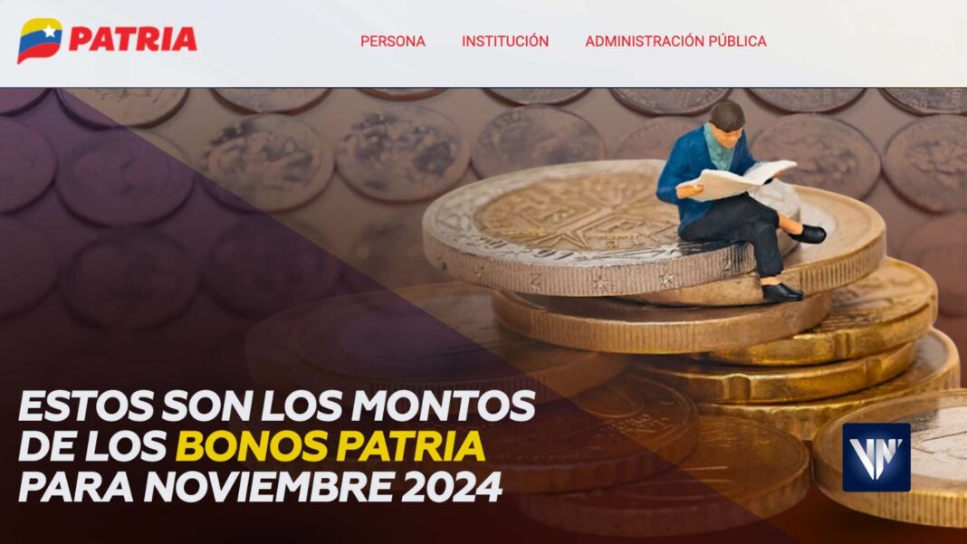 montos Bonos Patria noviembre 2024