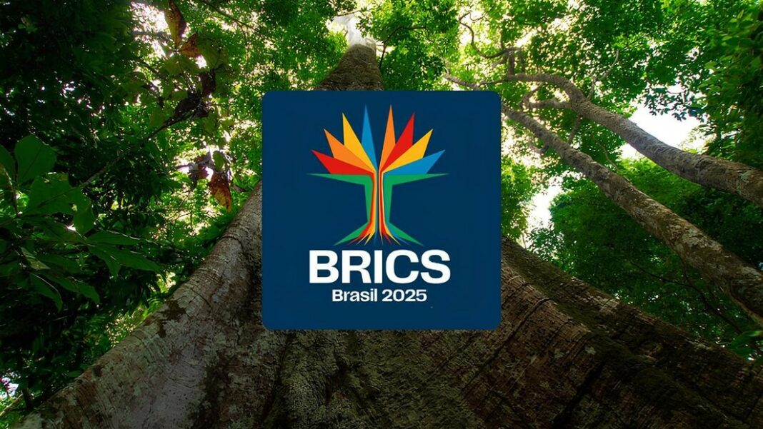 BRICS logotipo árbol Brasil