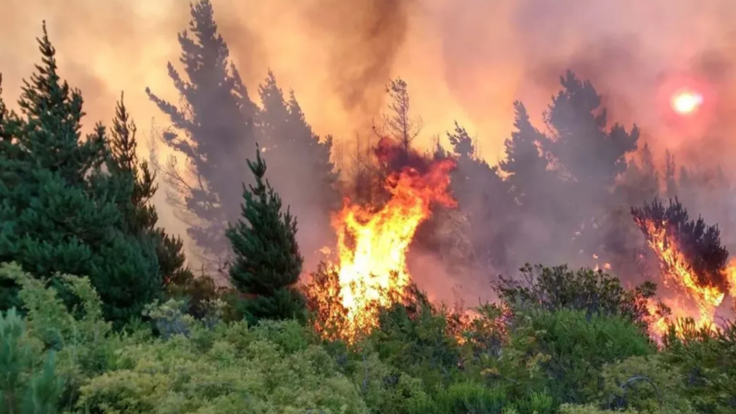 Patagonia incendio familias evacuadas