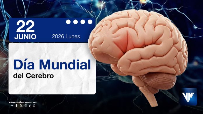 Día Mundial del Cerebro: claves para su cuidado Día Mundial del Cerebro