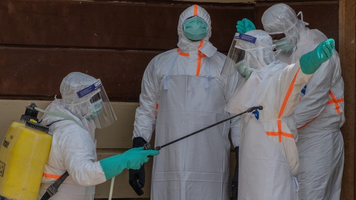 OMS publicó las primeras directrices globales contra el Ébola y virus hermanos OMS Ébola