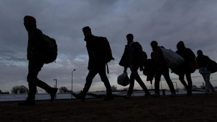 ONU califica la migración como un problema global y denuncia la violación de sus derechos ONU migraciones