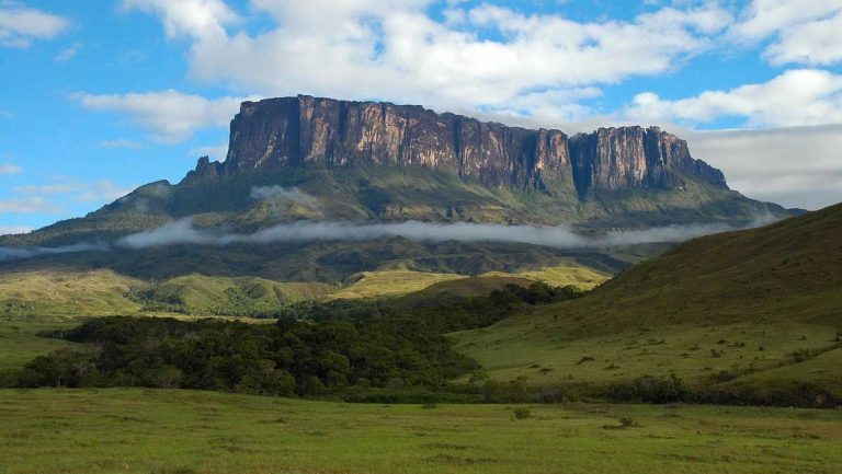 Venezuela megadiversa