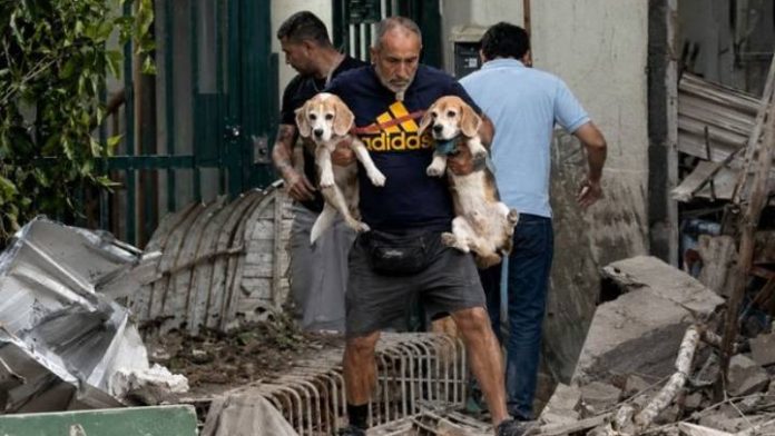 atención veterinaria centro acopio Plaza Francia