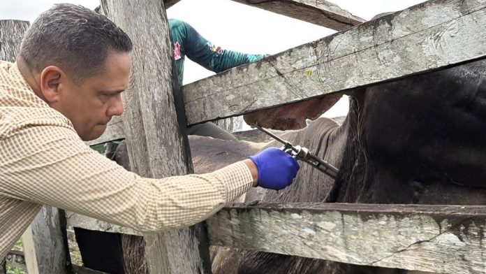 plan vacunación fiebre aftosa Guayana Esequiba